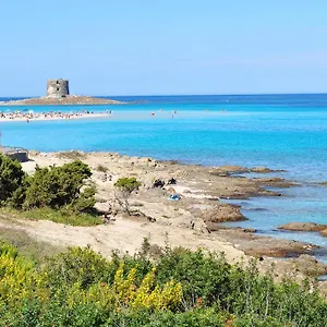Geranio Rosso Stintino